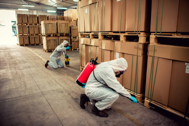 Trusted Scott City, KS Pest Control Experts