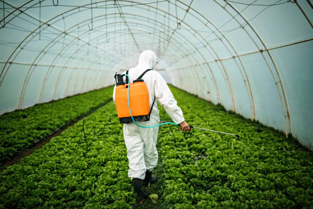 Best Best Pest Control Near Me  in Scott City, KS