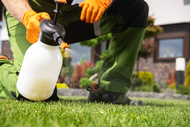 Best Pest Inspection Near Me  in Scott City, KS