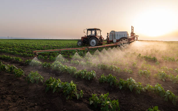 Reliable Scott City, KS Pest Control Solutions