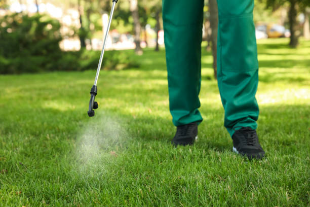 Best Rat Extermination Near Me  in Scott City, KS