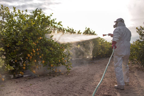 Best Affordable Pest Control Services  in Scott City, KS