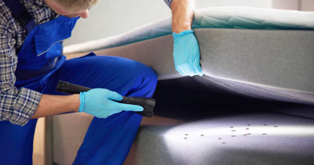 Best Cockroach Control Services  in Scott City, KS