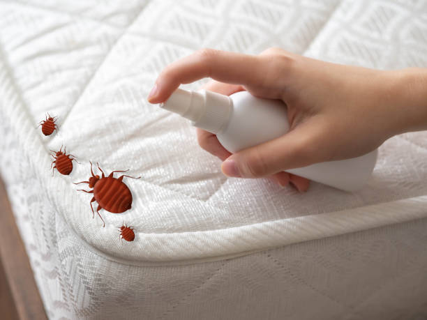 Best Pest Removal Services  in Scott City, KS