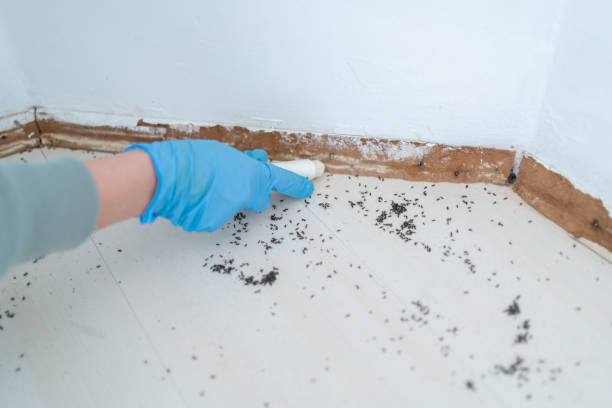 Best Pest Control Near Me in Scott City, KS