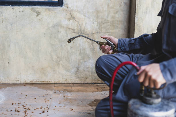 Best Flea Control Services  in Scott City, KS