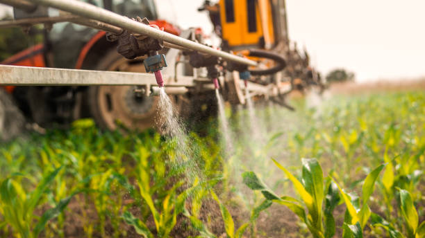 Best Best Pest Control Companies  in Scott City, KS