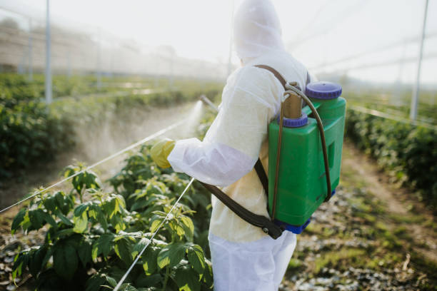 Best Wildlife Control Services  in Scott City, KS